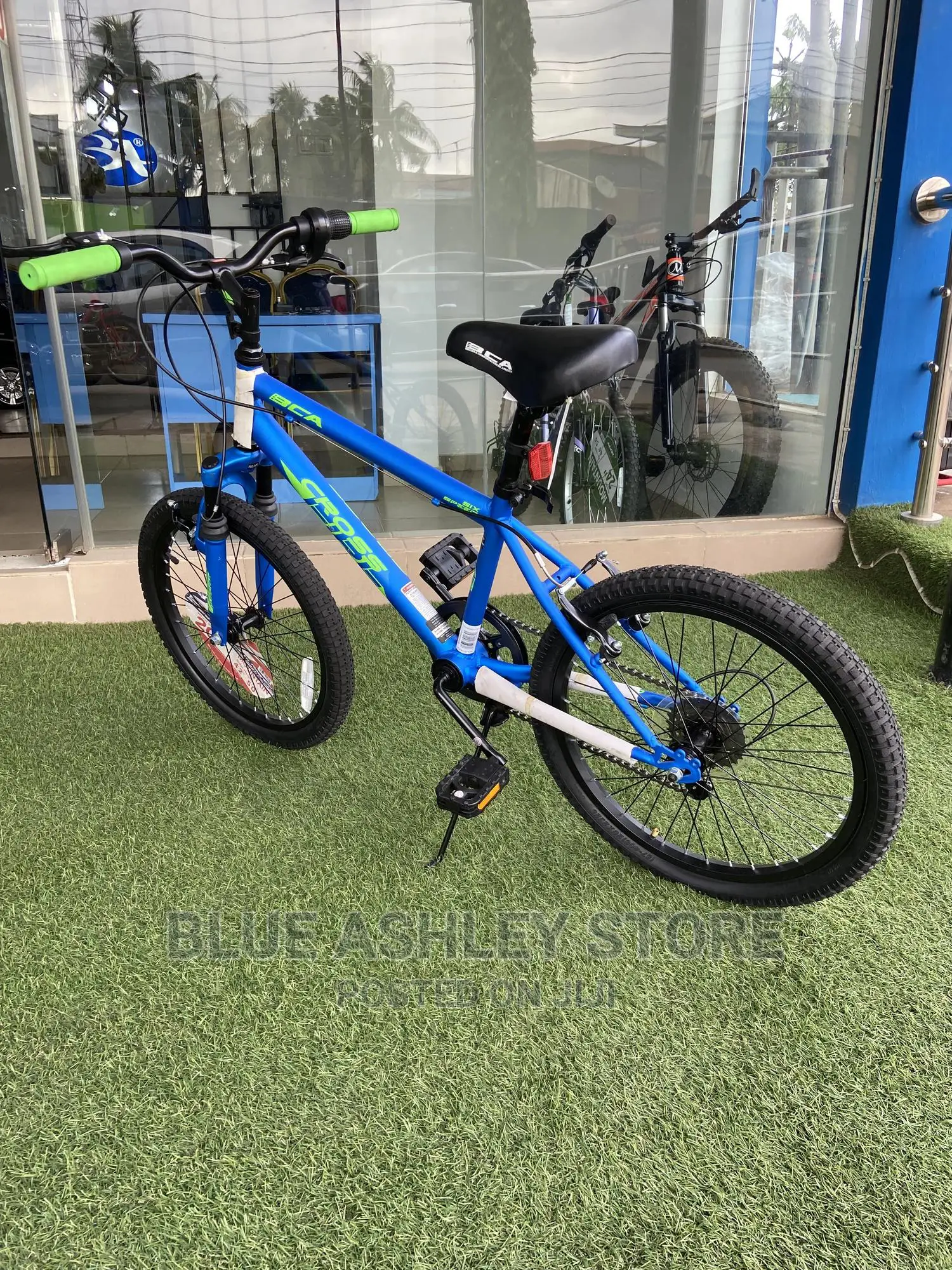 Bca 20" Crossfire Boy's Mountain Bike, Blue/Green