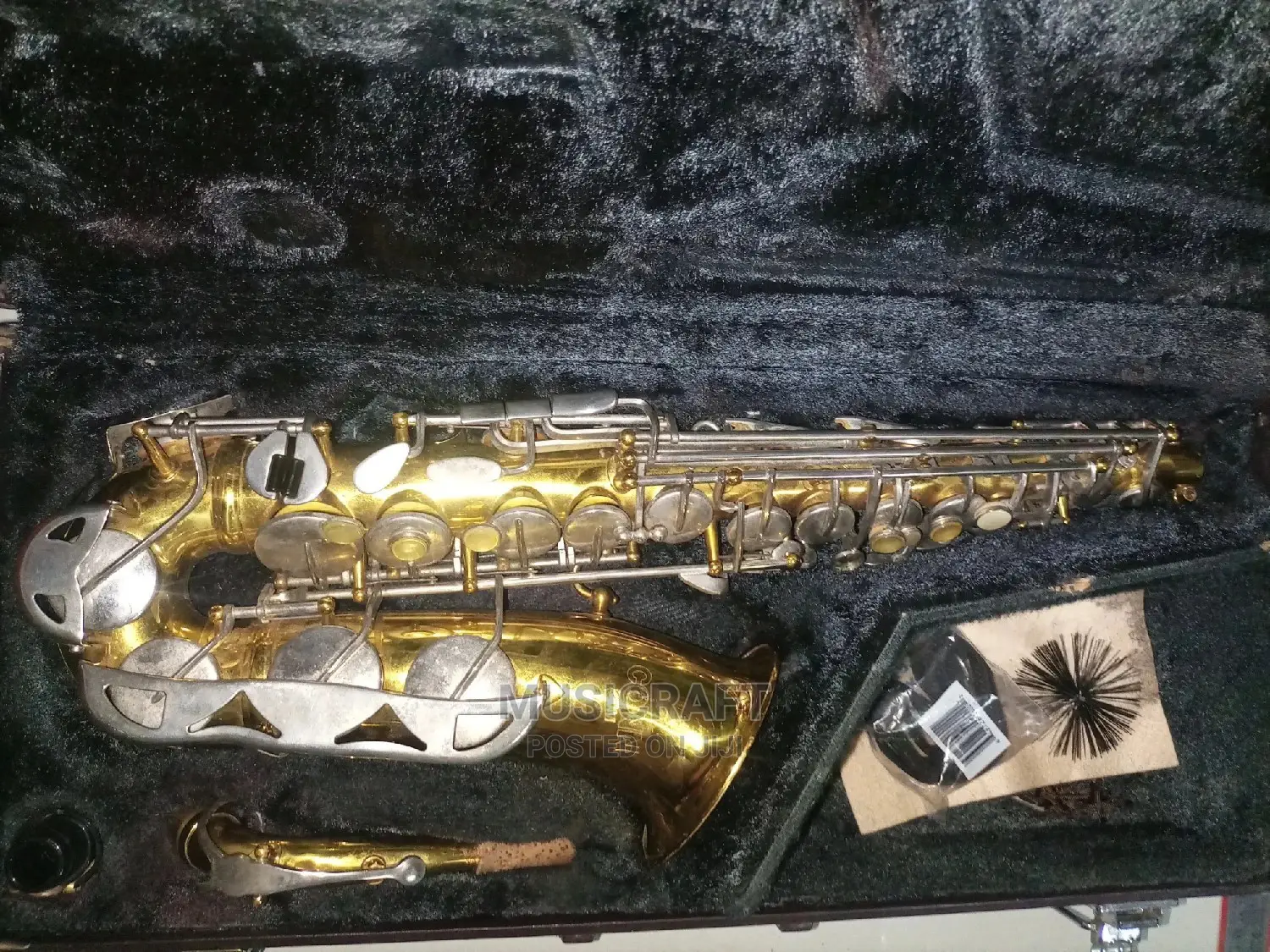 Professional 20M Alto Saxophone