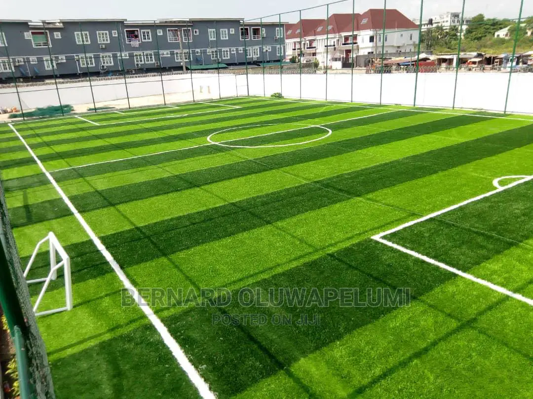 Artificial Grass/ Synthetic Grass/ Astroturf