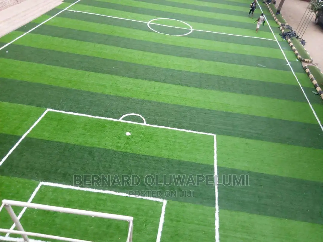 Artificial Grass/ Synthetic Grass/ Astroturf