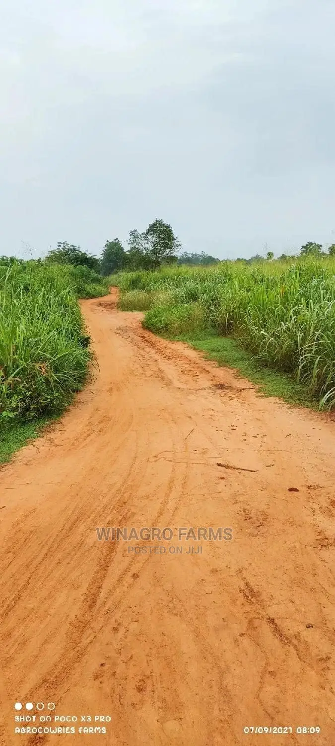 Good Bountiful Harvest Land for Sale in Ogun
