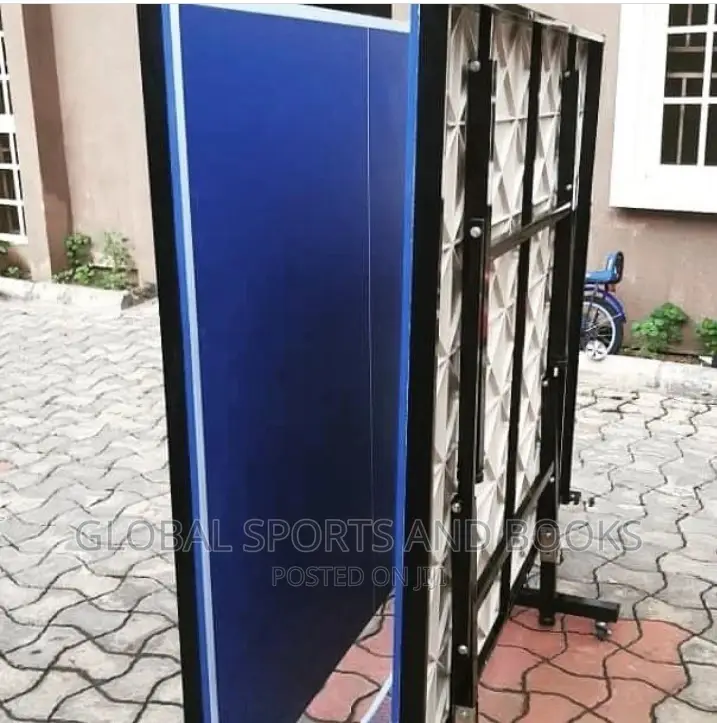 Blue and Red Foldable Outdoor Table Tennis Board