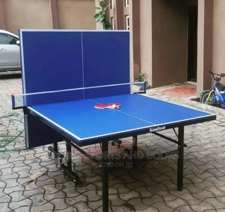 Blue and Red Foldable Outdoor Table Tennis Board