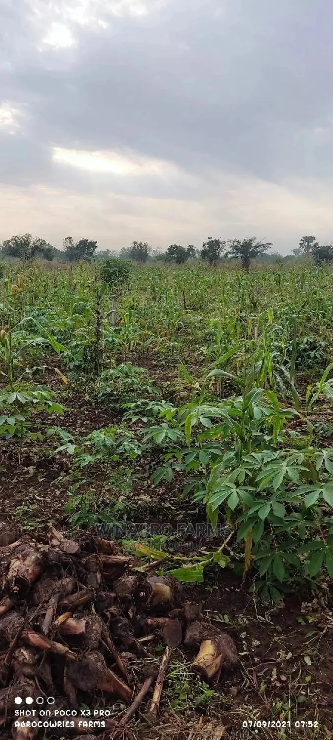 Farm Land Wey Cheap