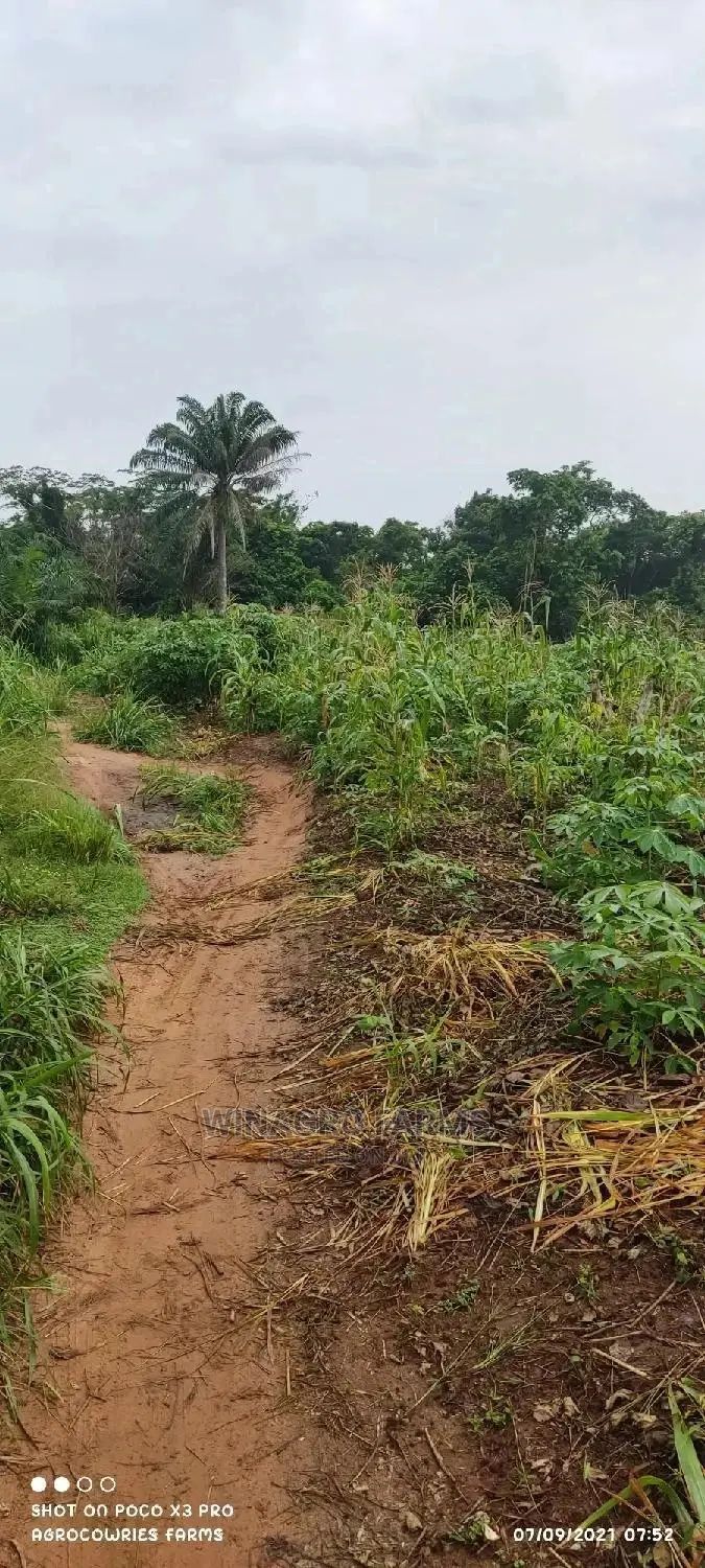 Farm Land Wey Cheap