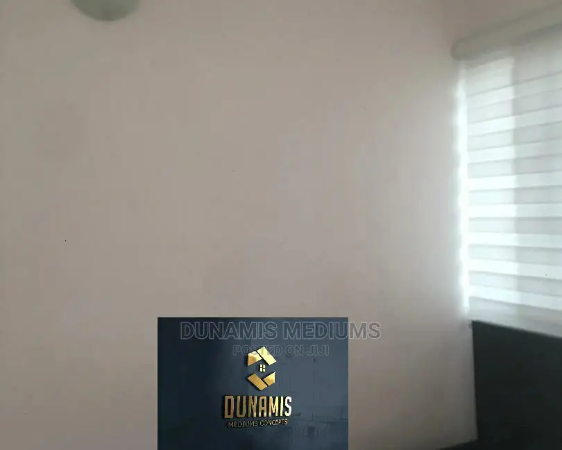 White Window Blinds