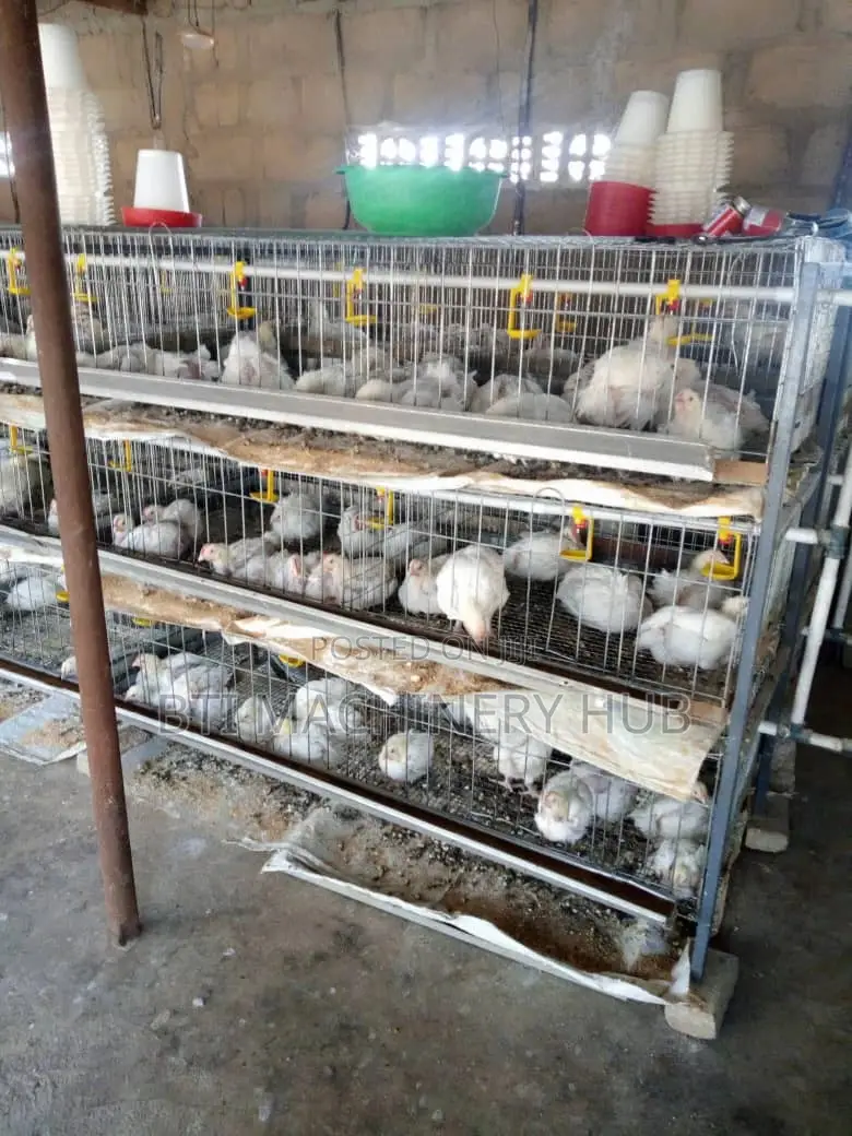 Poultry Cages