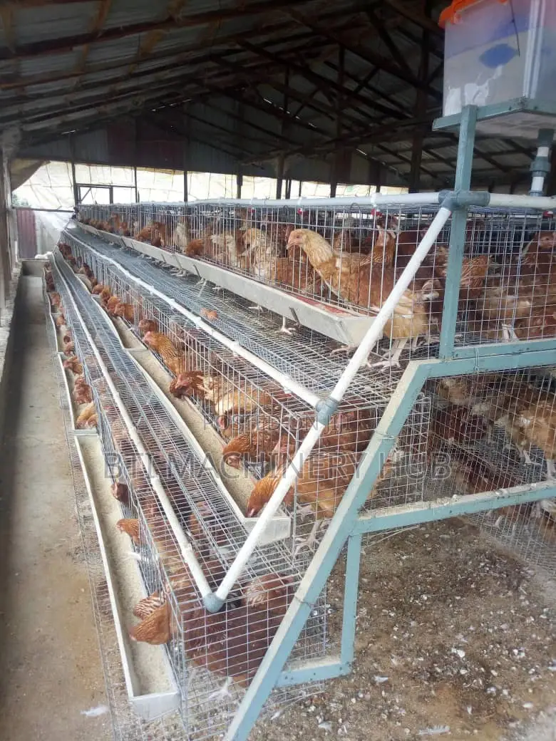 Poultry Cages