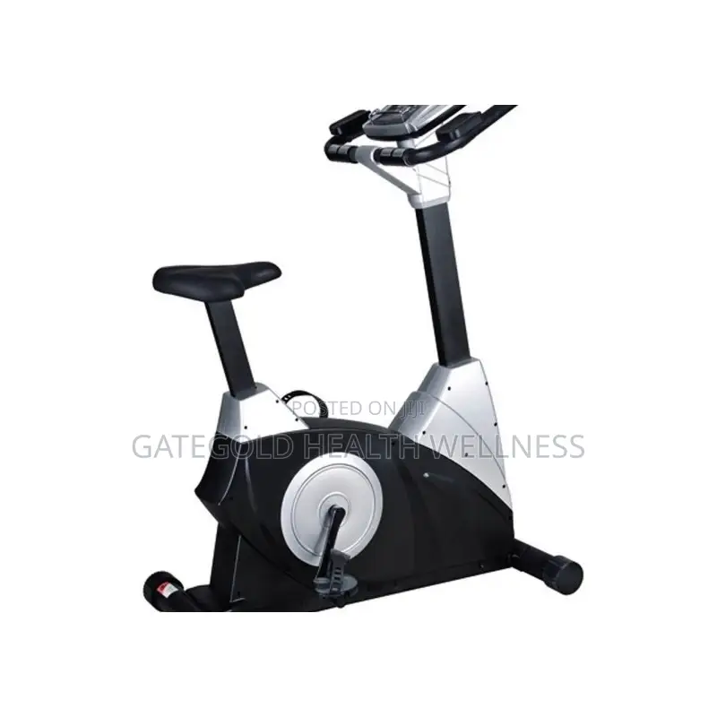 Semi-Commercial Upright Bike GG9.5