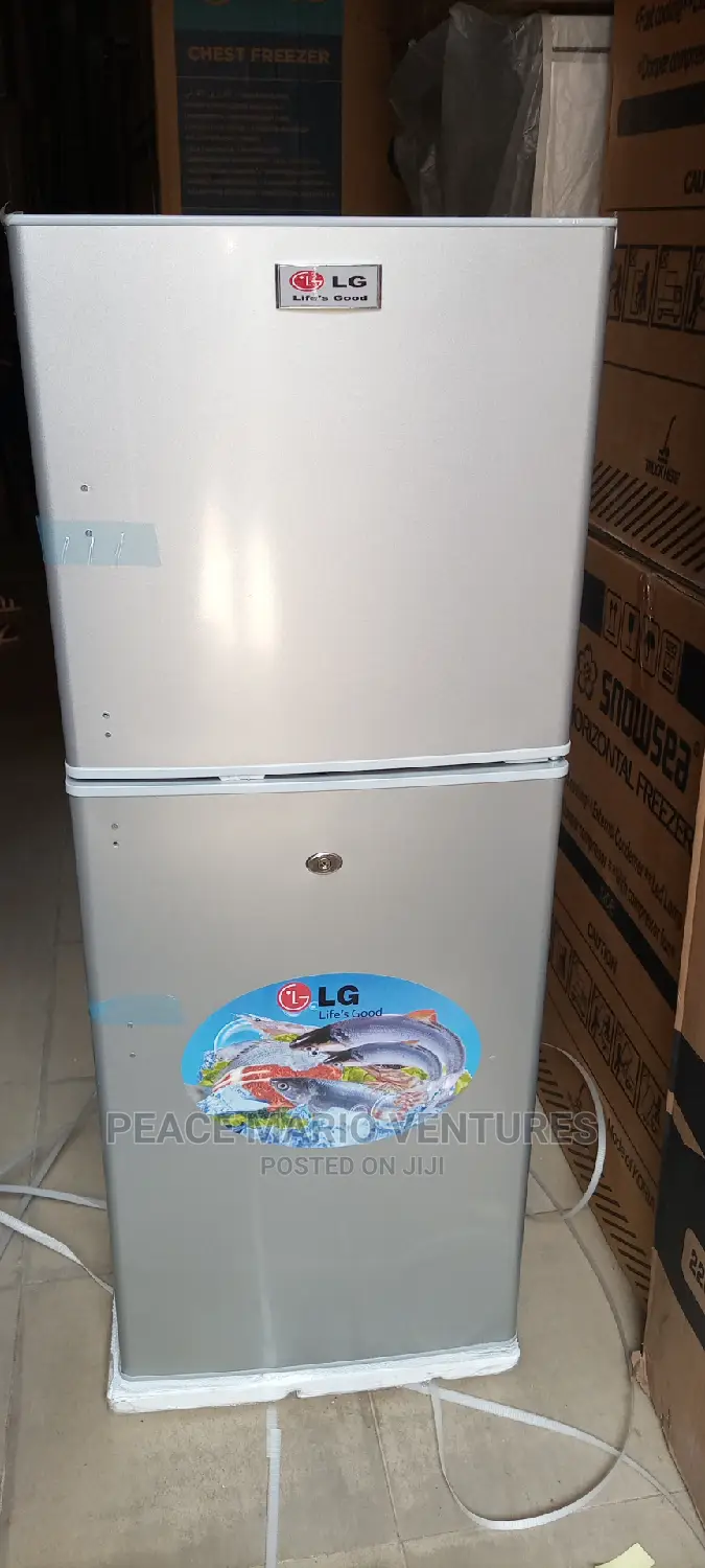 Lg Refrigerator With Two Double Doors, External Condenser