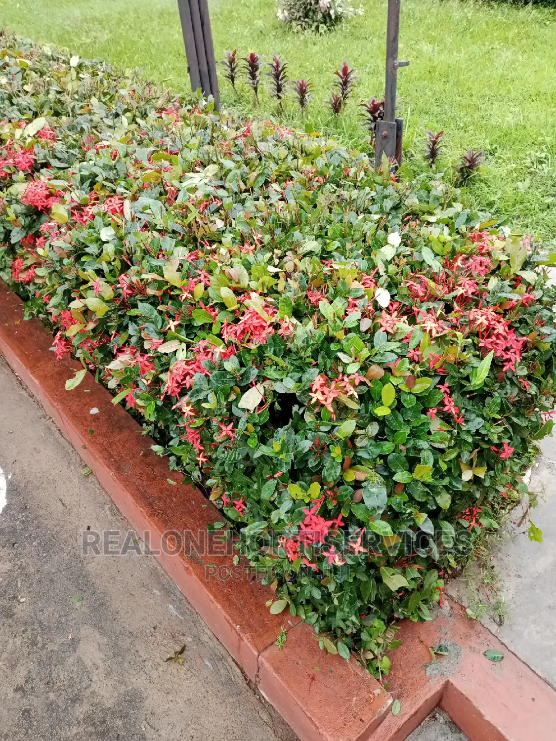 AVAILABLE FOR Horticultural / Gardening Services