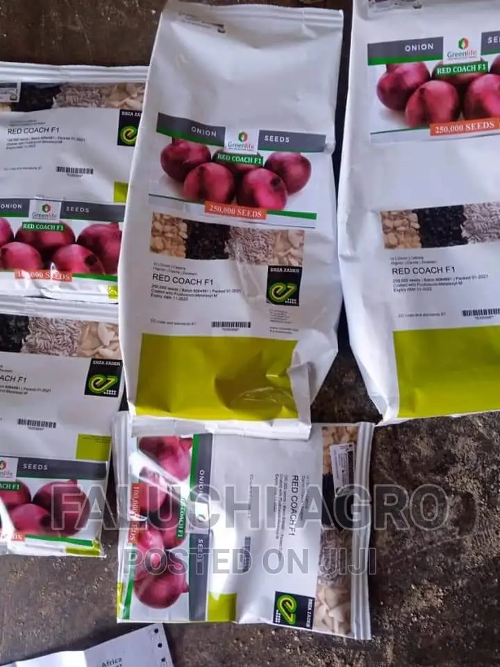 Red Coach F1 Hybrid Onion Seeds (25,000 Seeds)