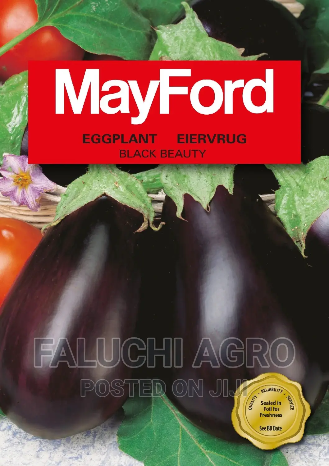 Eggplant Seed (Black Beauty)