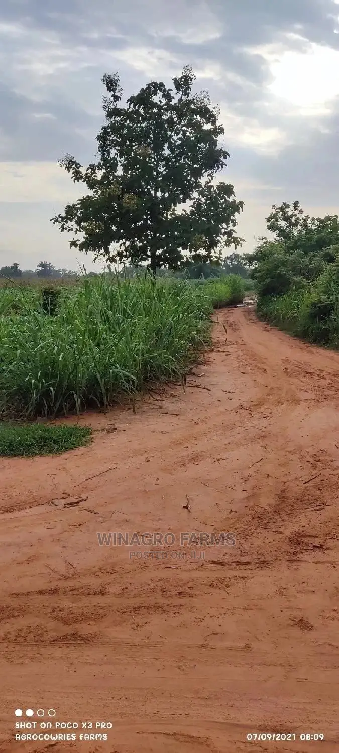 Executive Farm Land
