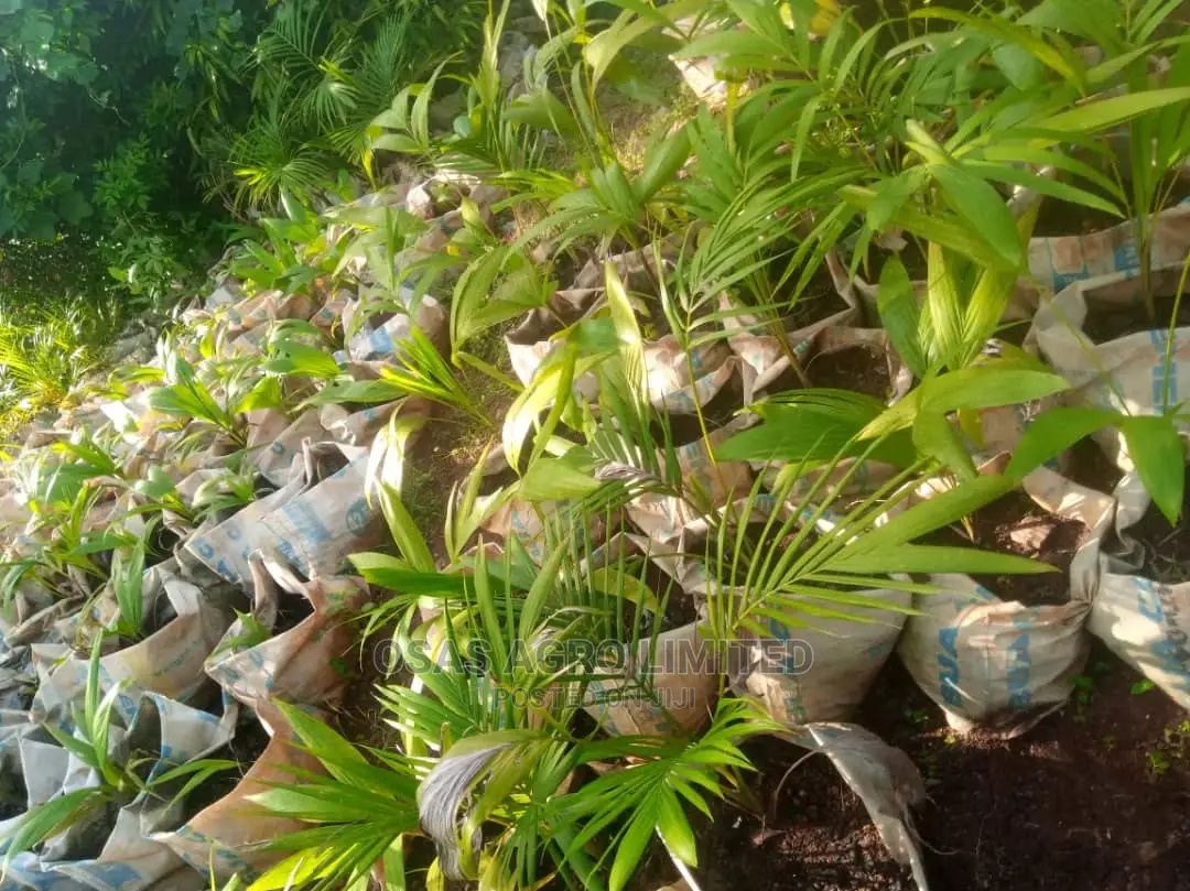 Choice Huticultural Garden, That Beautify Your Home.