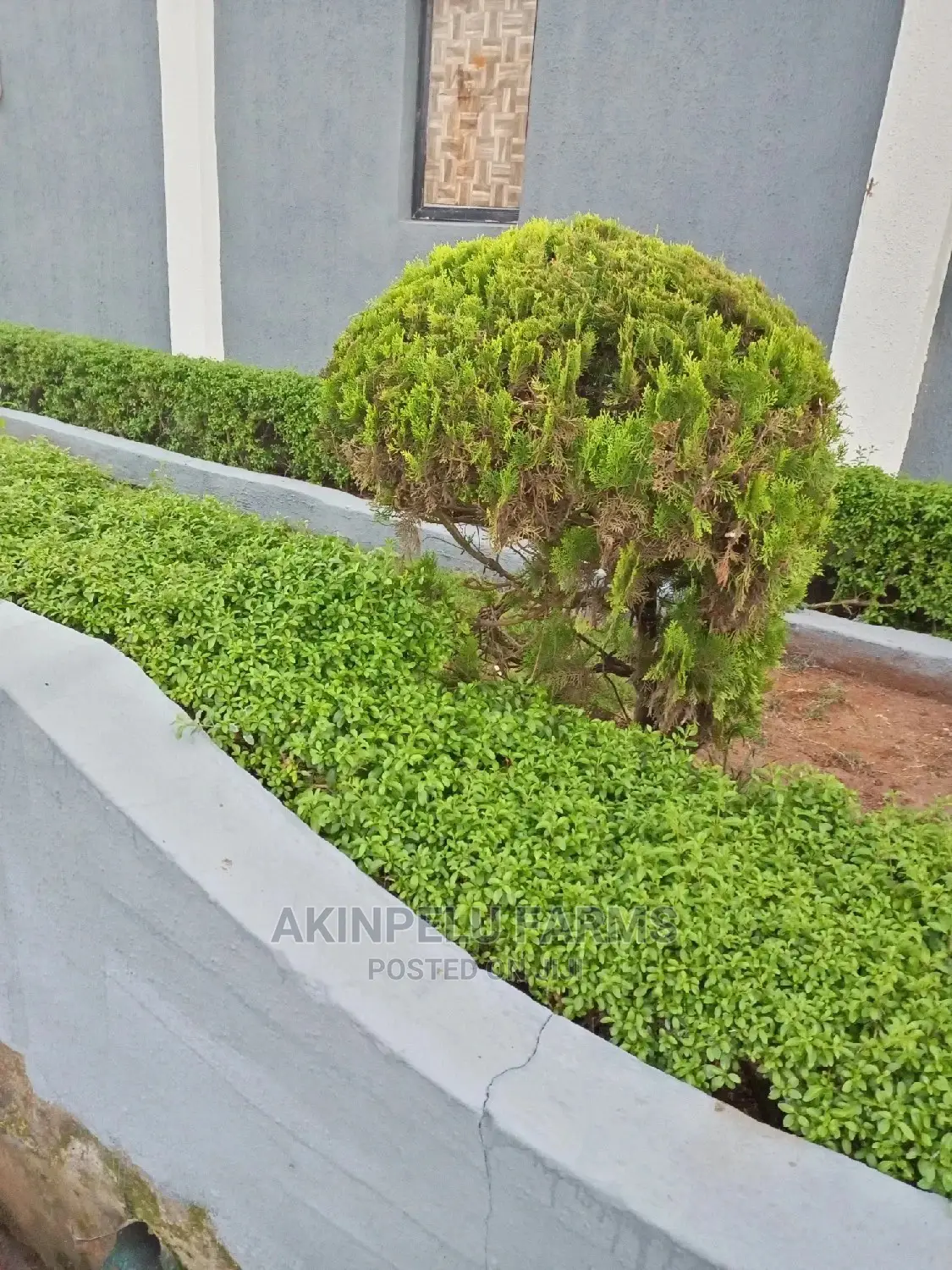 Flower Planting Services