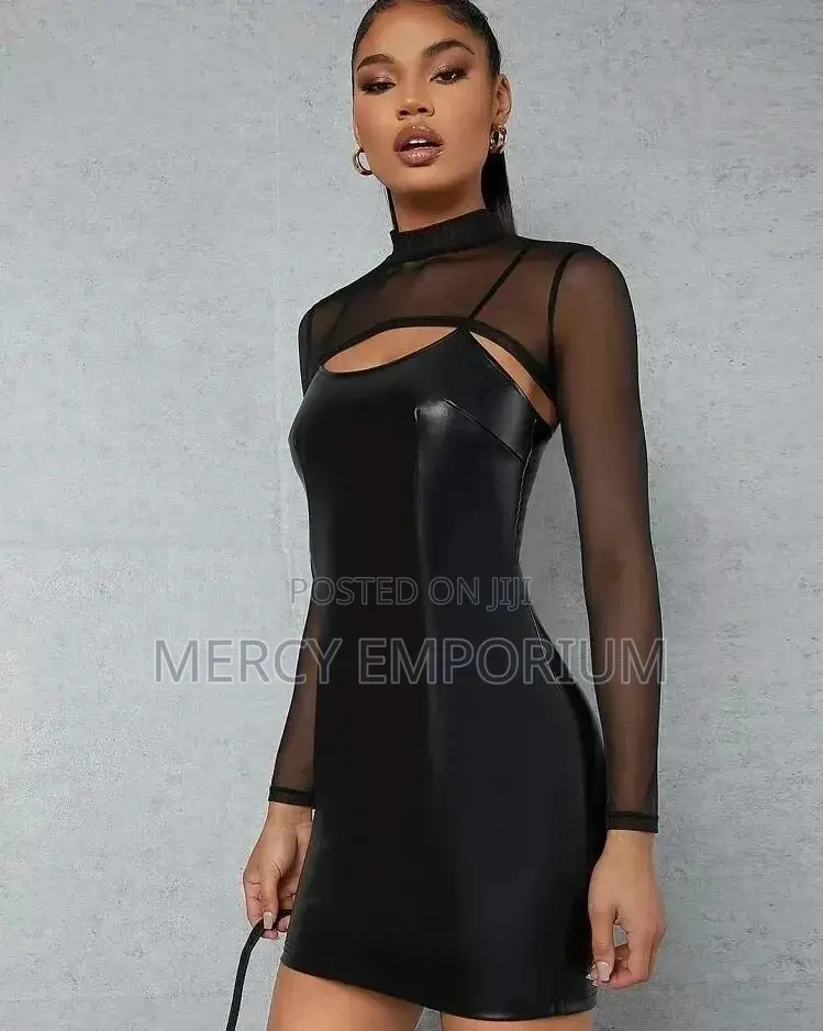 Leather Dress Without the Top