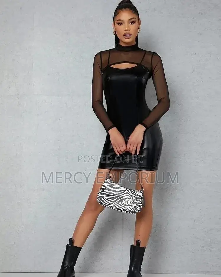 Leather Dress Without the Top