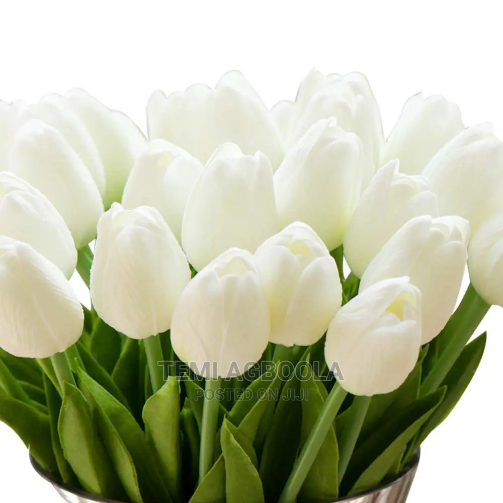 Tulip Flowers 10pcs