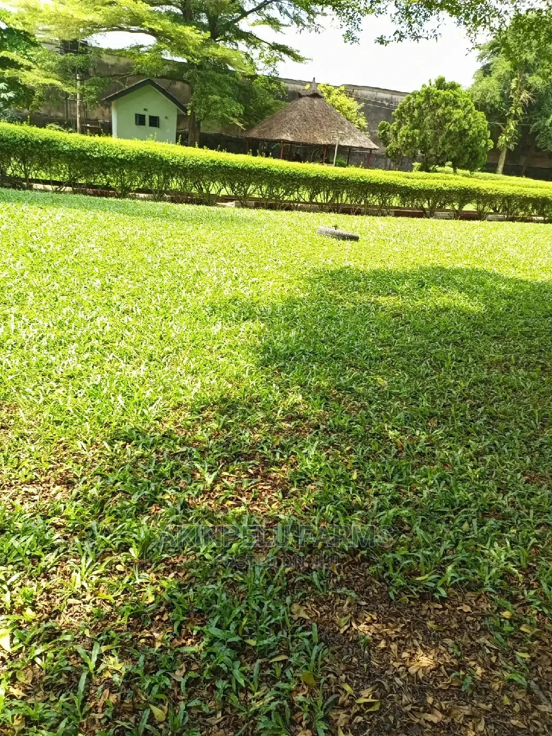 Parks, Football Field and Lawn Establishment
