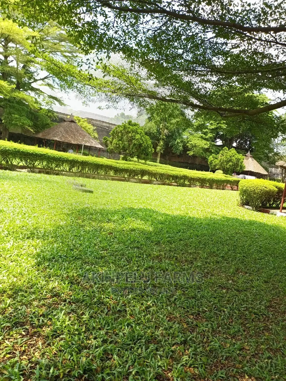 Parks, Football Field and Lawn Establishment
