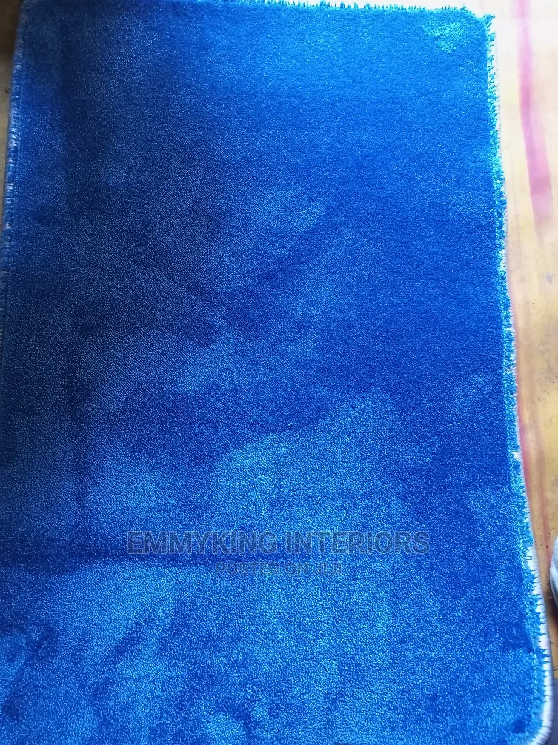 Europe First Quality Footmat