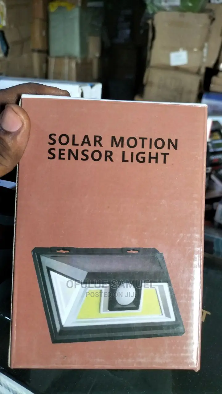Solar Motion Sensor Light