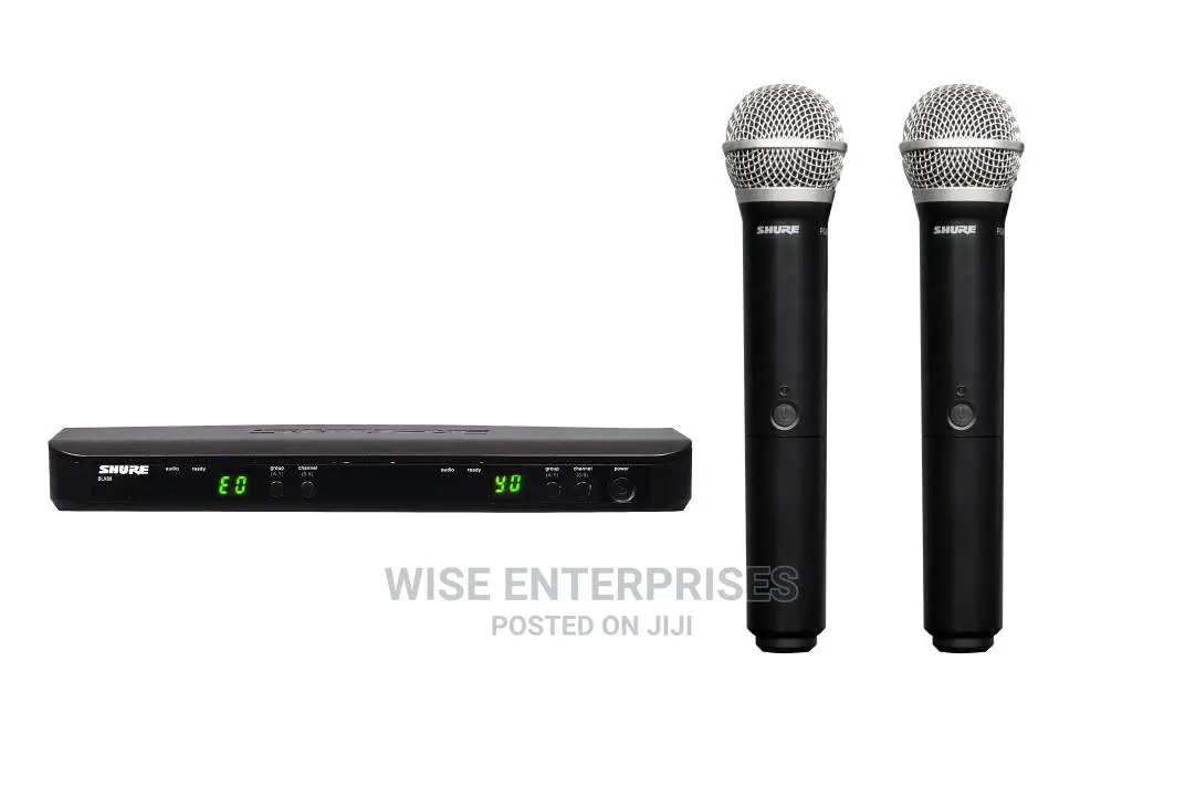 Shure Wireless Microphone