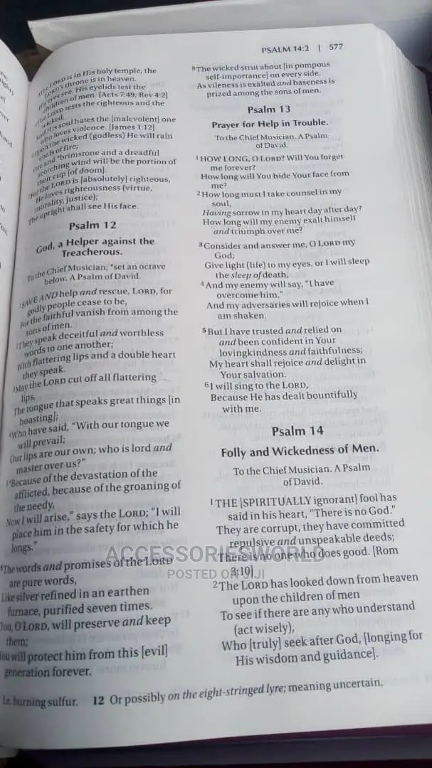 Amplified Holy Bible