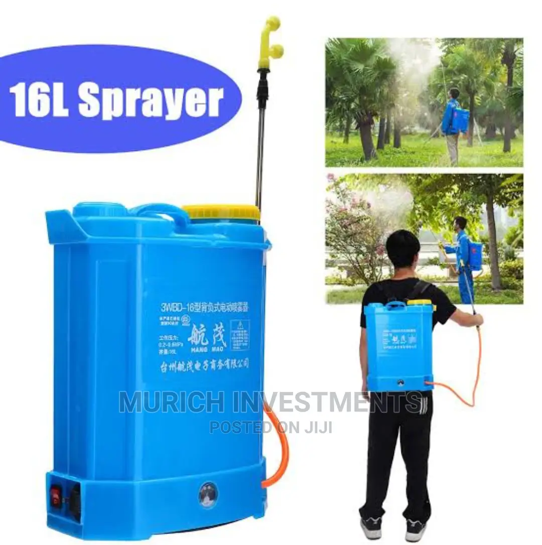 2 In1 Rechargeable Hand/Battery Powered Knapsack Sprayer 16L