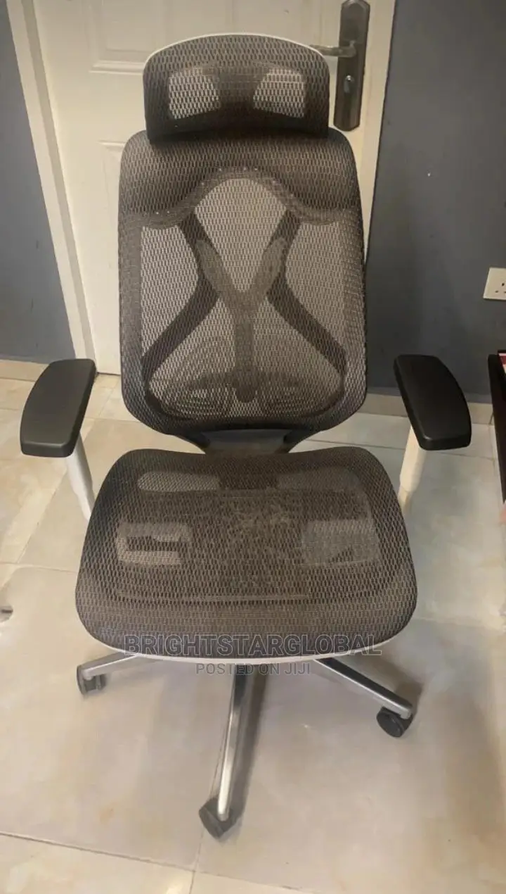 Ergonomic Office Chair (Net)
