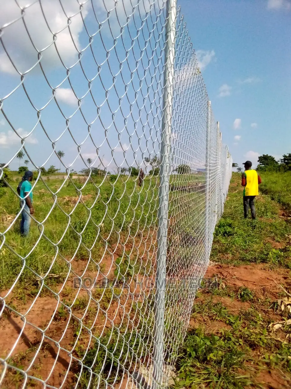 Chainlink Fence; For Farm Land and Livestock Management