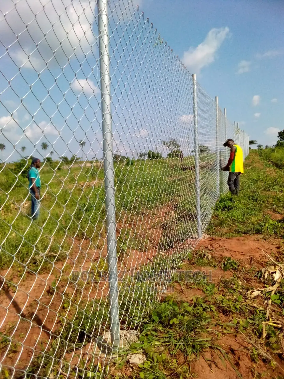 Chainlink Fence; For Farm Land and Livestock Management
