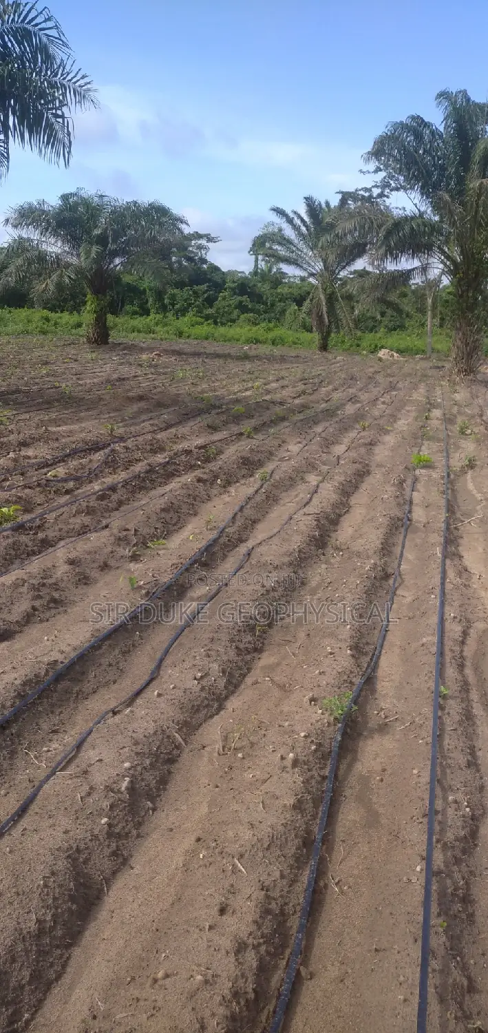 Borehole Services for Farm