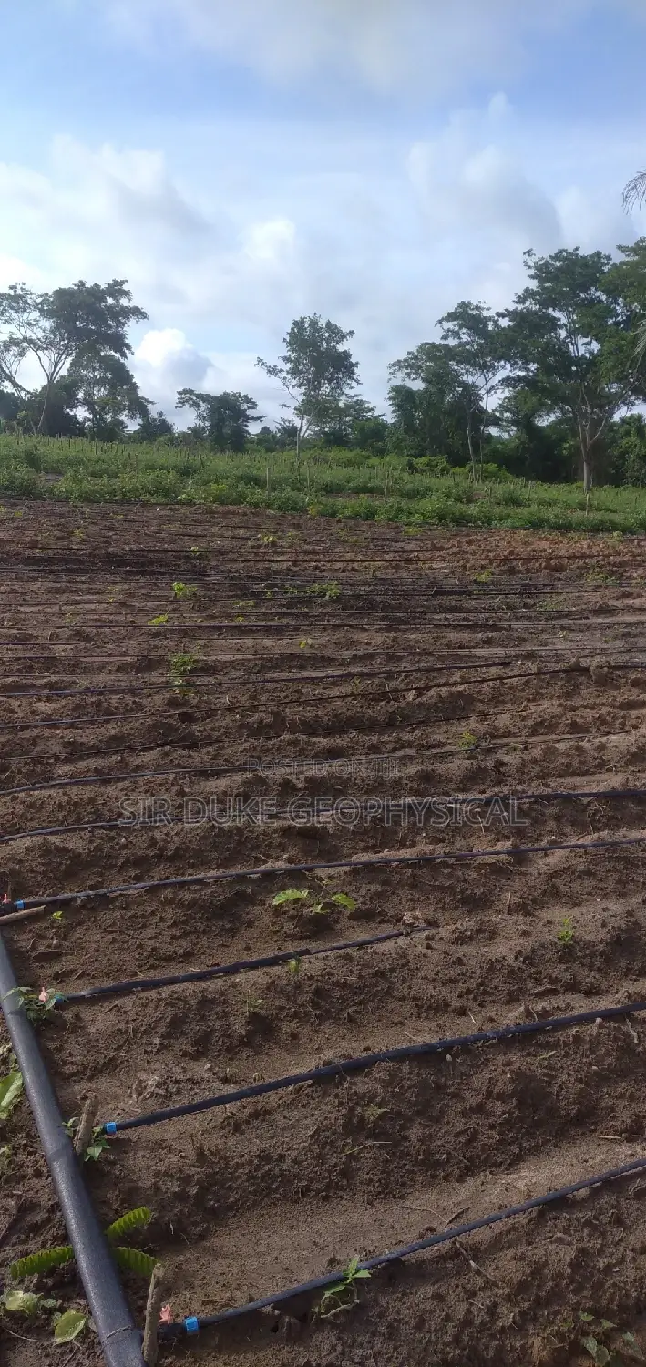 Borehole Services for Farm