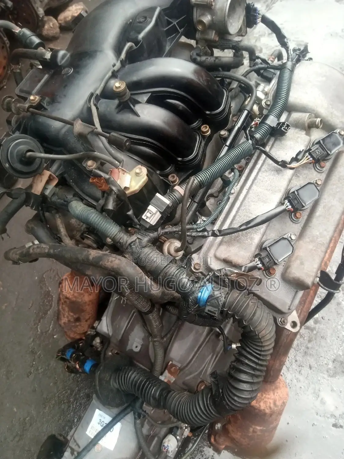 Toyota Tacoma 1gr
