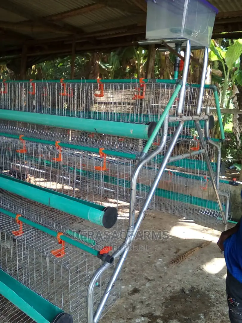Battery Cage for Layers (120birds) With Full Accessories