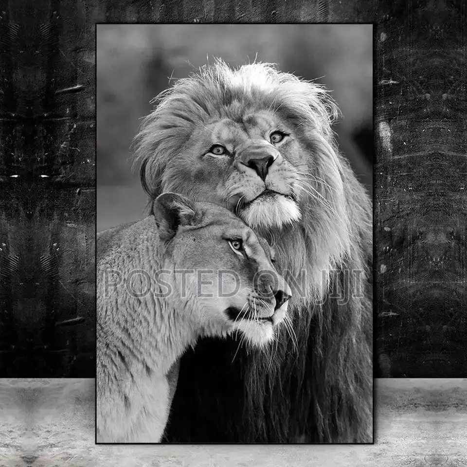 African Black And White Wild Lion Animal Canvas Print