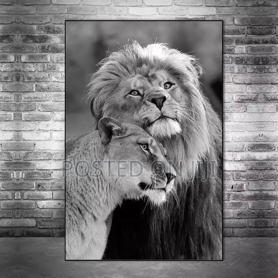 African Black And White Wild Lion Animal Canvas Print