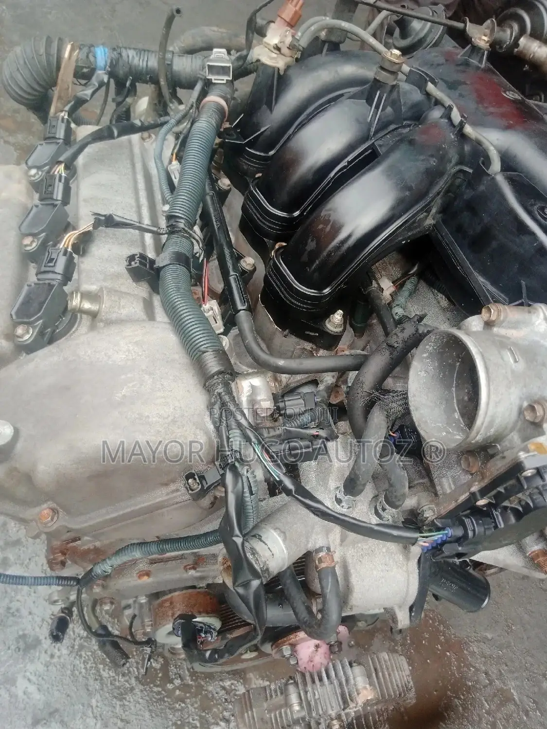 Toyota Land Cruiser 1gr