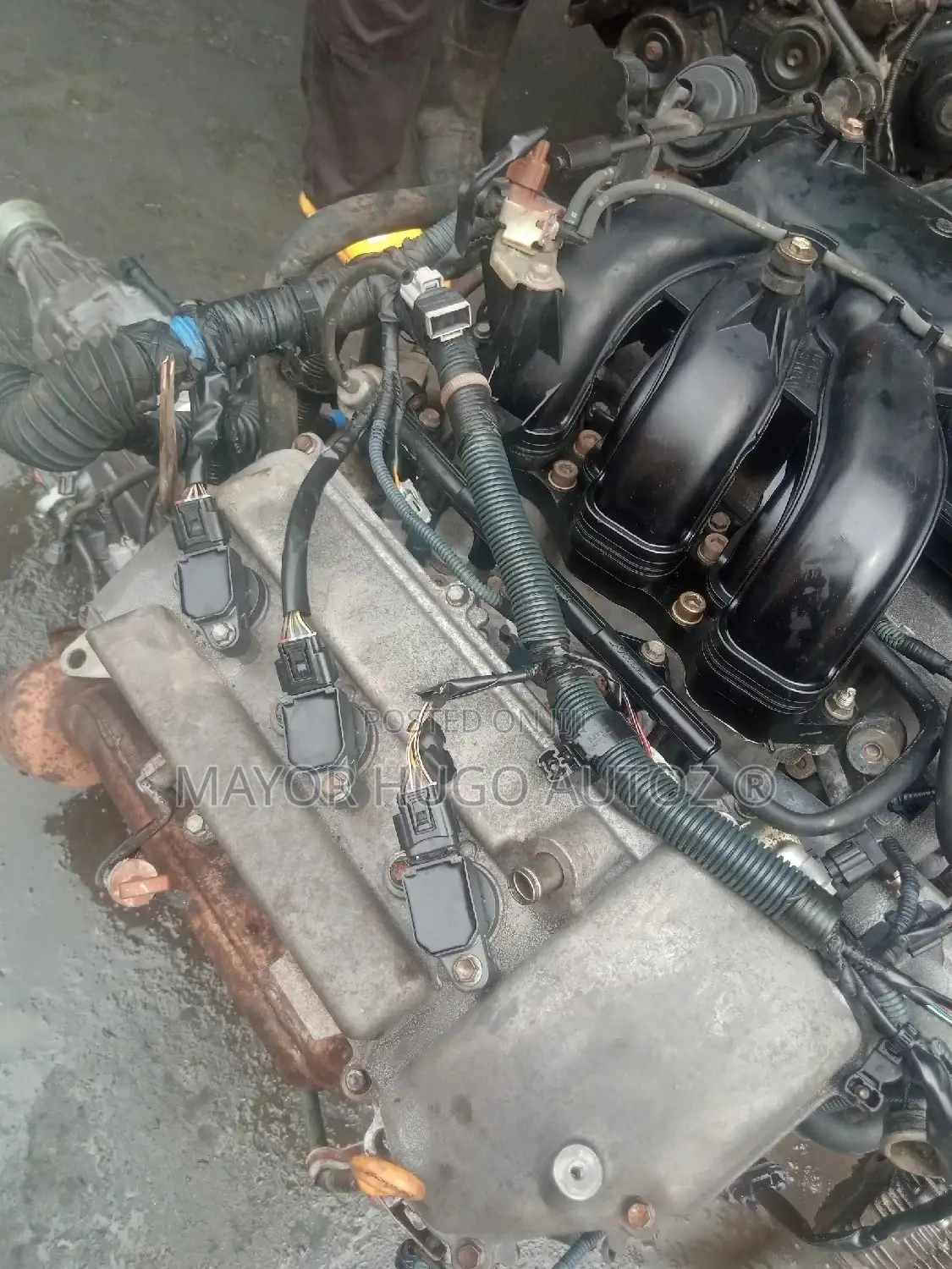 Toyota Land Cruiser 1gr