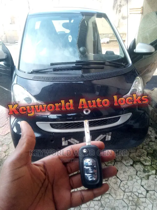 Smart W451 All Key Lost, New Key Was Cut and Programmed