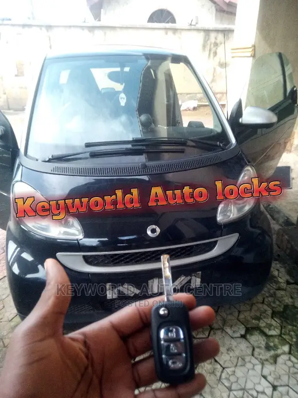 Smart W451 All Key Lost, New Key Was Cut and Programmed