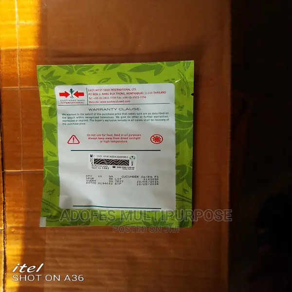 Cucumber Saira Seed F1