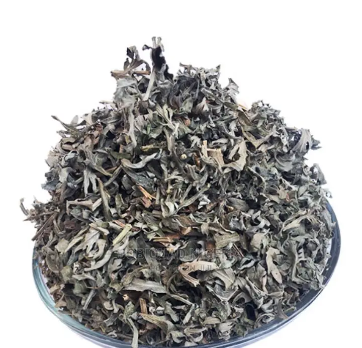 Sweet Wormwood Treat Ascaris Anemia Digestive Disorder 250gs