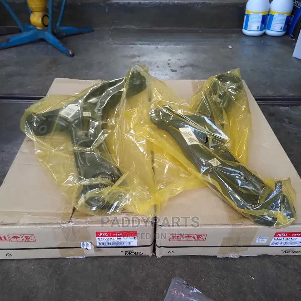 Hyundai and Kia Lower Control Arm