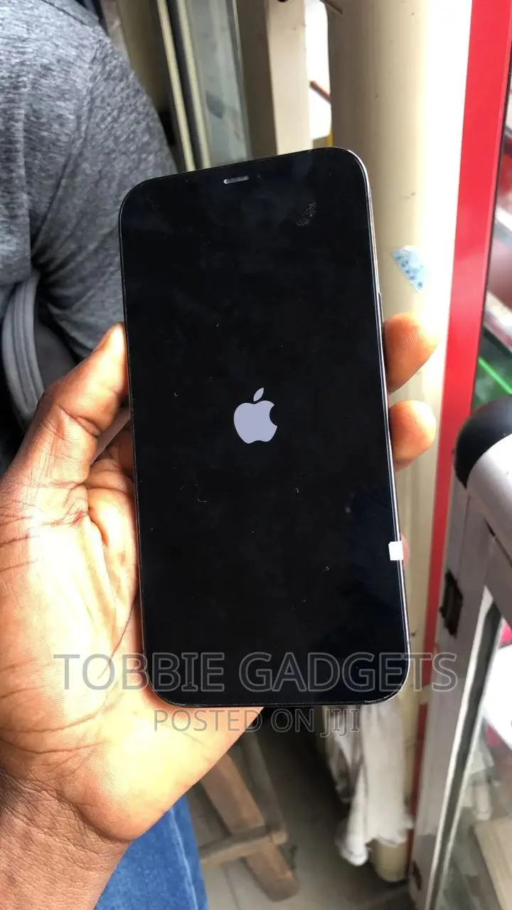 Apple iPhone 12 Pro Max 128 GB Gray