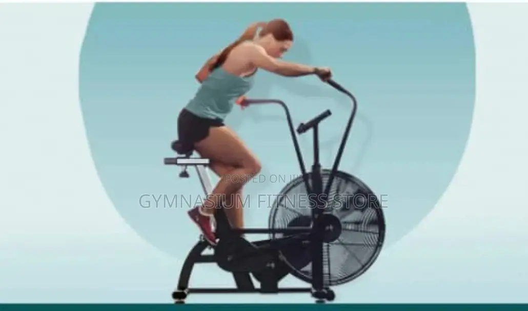 Commercial Assault Air Bike 12