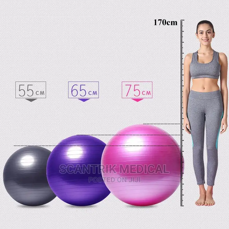 Stability Balance Ball Physical Fitness Exercise Ball 45CM