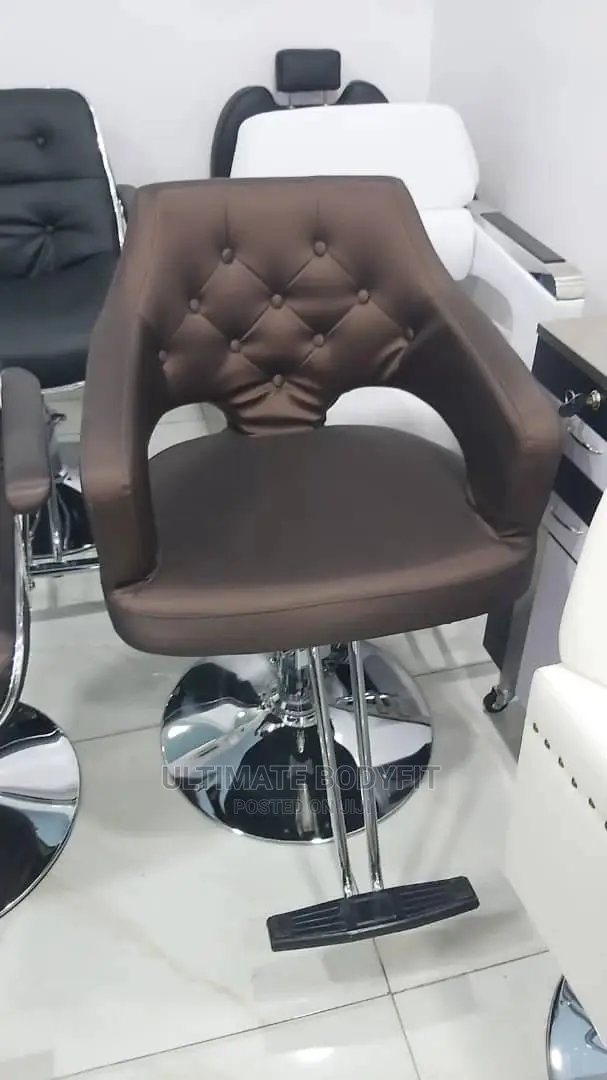 Brand New Beauty Stylist Salon Chair